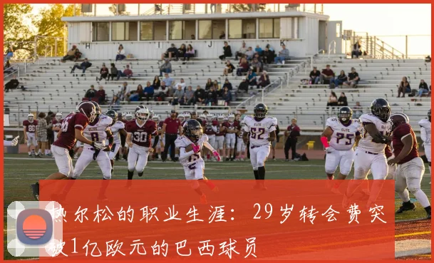 热尔松的职业生涯：29岁转会费突破1亿欧元的巴西球员