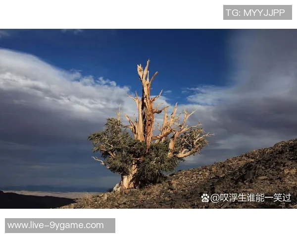 斯波谈裁掉阿丘瓦的艰难决定希望能继续保持合作关系 斯波谈裁掉阿丘瓦的艰难决定希望能继续保持合作关系