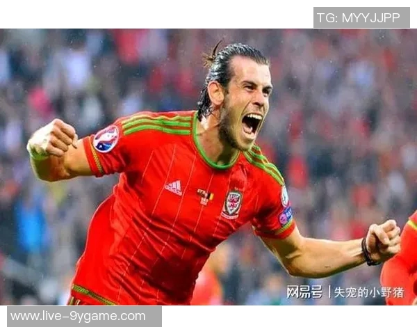 贝尔谈退役后财务危机积极投资保值让他安心 贝尔谈退役后财务危机积极投资保值让他安心